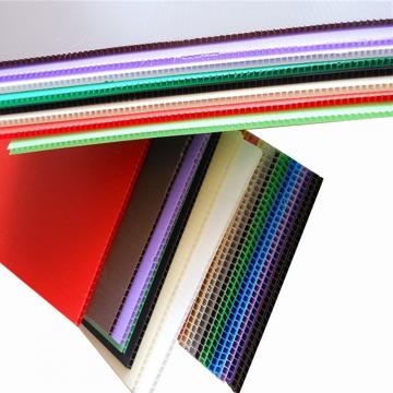 8'*4' Construction and Building Plastic Protection Board/Colored PP Hollow Sheet