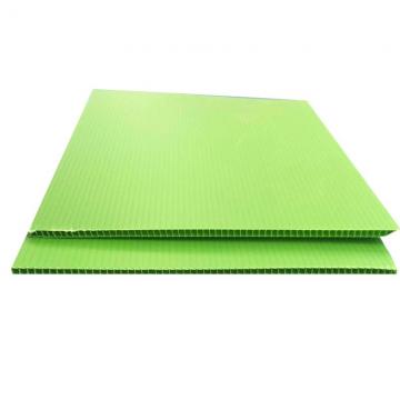 Environmentally Friendly PP Plastic Hollow Sheet/Board for SGS RoHS